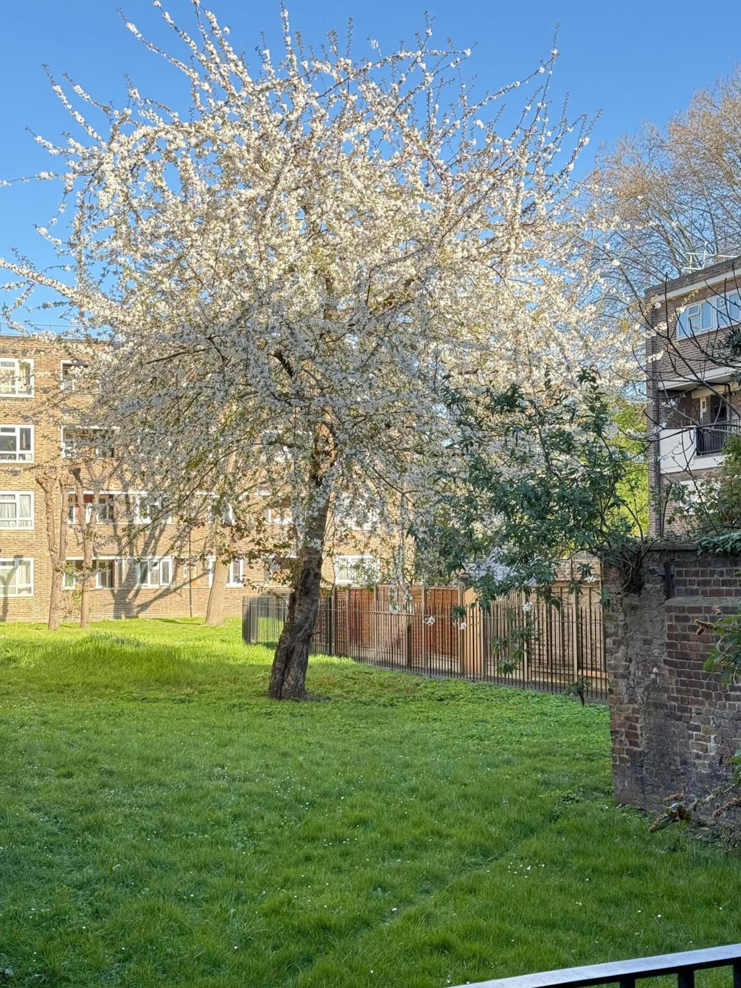 Shoreditch Apartments By Dc London Rooms Londres Quarto foto